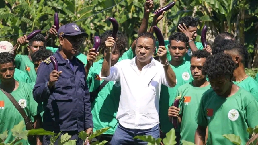Grupu Hortikultura Sustentavel iha Watuboru fó ezemplu ba independénsia ekonomika