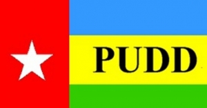Logo PUDD