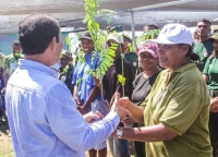 Sekretáriu Estadu no Floresta (SEF) Fernandino Vieira da Costa entrega ai ona ba Komunidade sira, iha ambitu lansamentu rekapitulasaun dadus produsaun Ai-oan  rihun 695,463 pes ba epoka tinan 2023, iha suku Mahabat. Postu Adminitrativu Manatutu Vila, Munisipiu Manatuto. Foto:INDEPENDENTE/Rufino.