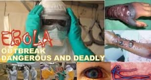 Virus Ebola. Foto Google
