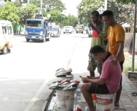 Vendedor faan ikan iha Tasi Ibun Panta Kelapa, Dili. (09/04/24). Foto:INDEPENDENTE.