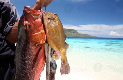 Photo: Concern about Timor-Leste’s rich marine life has been raised as a fleet of Chinese fishing boats continues to operate un-policed along south coast.