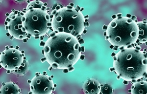 Ilustrasaun coronavirus