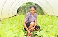 Xefe Grupu Maudiu II, Leonora do Rego Mendonça (54), tuur iha greenhouse laran hodi hamoos duut, iha aldeia Palimanu, Suku Fatukero, Postu Administrativu Railaku, Munisipiu Ermera, Sesta (19/04). FOTO: INDEPENDENTE/Domingos Gomes