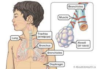 Respiratory infection. Photo:Google.