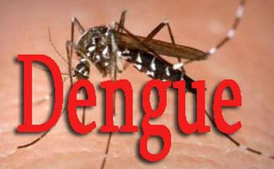 Kazu dengue iha TL: Pozitivu 3.700, na’in 24 lakon vida