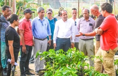 Sekretáriu Estadu Florestas (SEF) Fernandino Vieira da Costa, ho Ekipa vizita ofisiál  bá projetu Coffee and Agroforestry Livelihood Project (CALIP), iha  Suku Fatukeru, Postu Administrativu Gleno, Munisipiu Ermera,(29/08/23). Foto: Media Gabinete SEF.