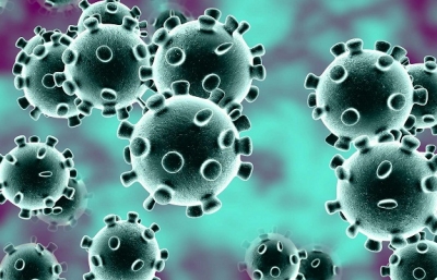 coronavirus. Photo Google