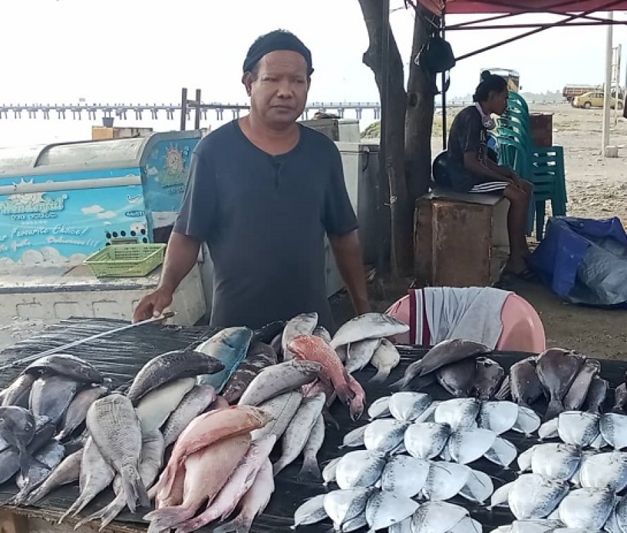 Negosiante Ikan iha Tasi-Ibun Bebonuk-Pantai Kelapa, Kada Loron Hetan De’it $3 to’o $30   
