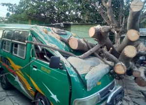 Ai monu hanehan karreta iha Becora Dili, tersa (15/9). Foto INDEPENDENTE