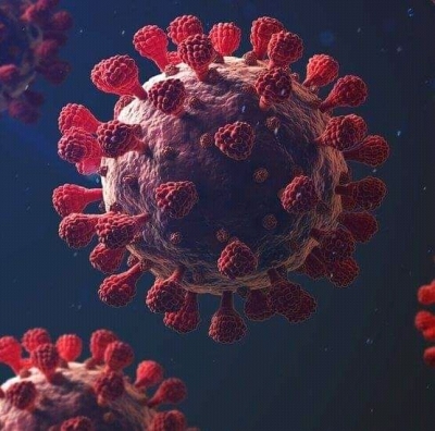 Virus Covid-19.Foto:Google.