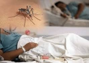 Pasiente Dengue. Foto:Dok.