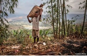 Agrikutor ida hit karon produtu lokal husi nia toos. Foto google