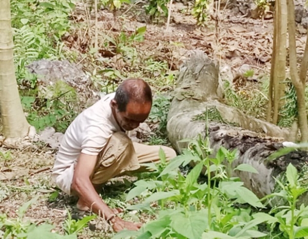 Eis membru FALINTIL ida, Horacio Fernandes, hamoos hela duut iha nia toos laran ne’ebé lokaliza iha Kakavei, Lautem, Sabadu (10/08). FOTO: INDEPENDENTE/Agustino Gama
