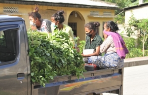  PNTL Squadra Postu Administrativa Cristo Rei halo pasa revista ba sidadaun sira ne’ebé nafatin la kumpri regras Estadu Emerjénsia ne’ebé PR dekreta ona iha semana rua kotuk hodi la fó distánsia sosial bainhira sae transporte. Dili Kinta, (16/04). FOTO: INDEPENDENTE/Jónio da Costa