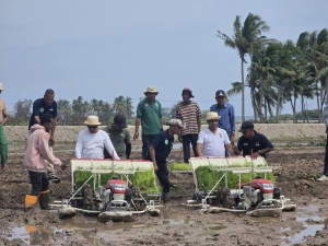 Ministru Agrikultura Pekúaria Peska no Floresta, Marcos “MAMETA” da Cruz  hamutuk PAM Lautem, Melio de Jesus lansa kuda hare variedade nakroma uza ekipamentu agrikola modernu, iha Laivai, Postu Administrativu Lautém. 