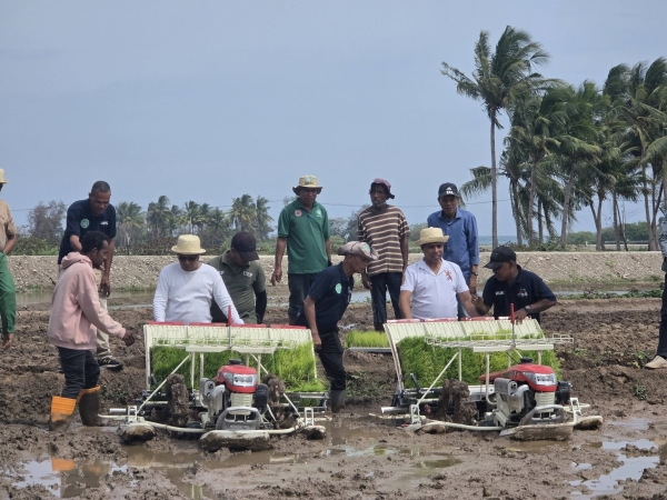 Ministru Agrikultura Pekúaria Peska no Floresta, Marcos “MAMETA” da Cruz  hamutuk PAM Lautem, Melio de Jesus lansa kuda hare variedade nakroma uza ekipamentu agrikola modernu, iha Laivai, Postu Administrativu Lautém. 